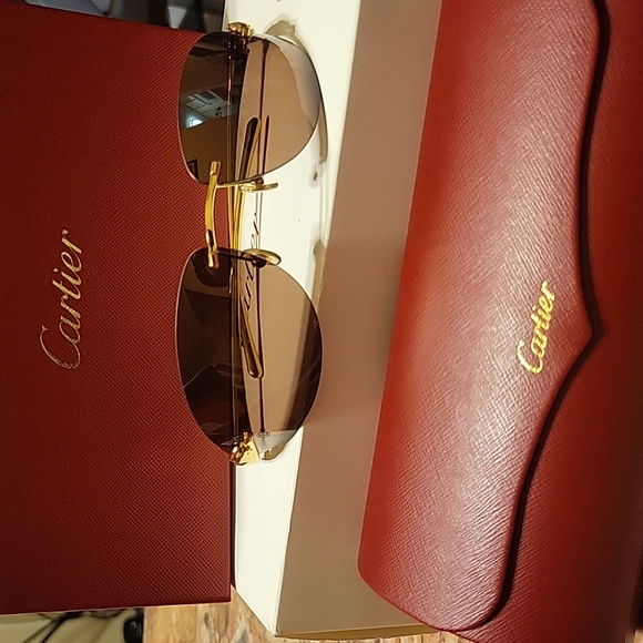 Cartier Sunglasses Level 3